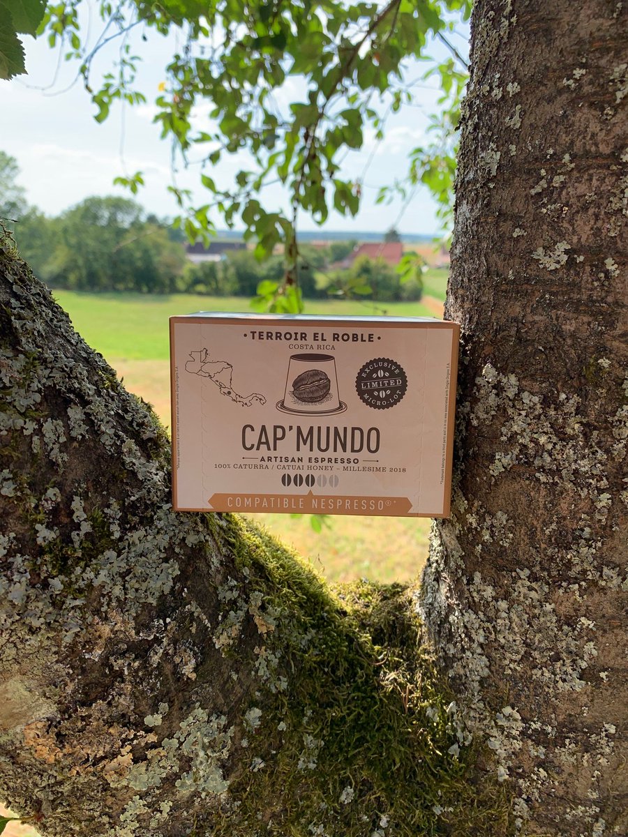 Cap_Mundo's tweet image. Guess what we found.😋.New micro batch named #terroirelRoble from #CostaRica. Harmonious &amp;amp; fruity. Enjoy !