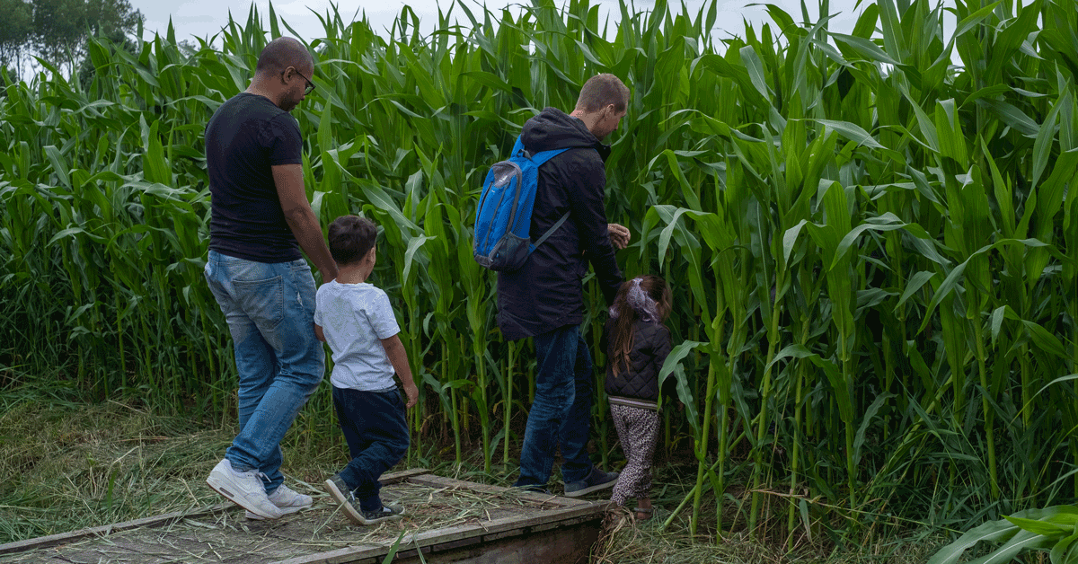 Het Maisdoolhof in Nobelhorst is de hele zomer geopend! Je vindt het labyrint vlakbij Pannenkoekenhuis Smullen en Spelen!