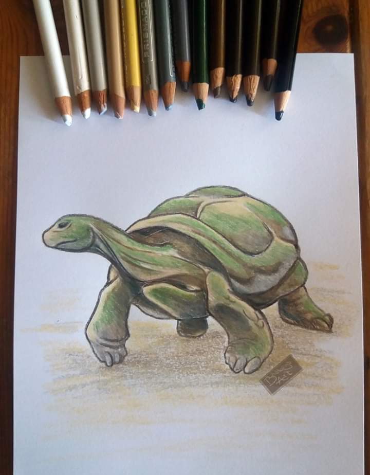 Badlungs Art tweet media