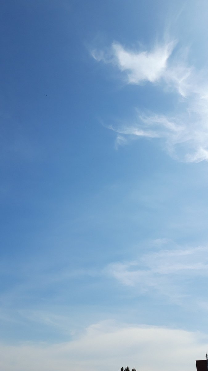 Fertig, merci euch allen. Jetzt etwas Wolken gucken ♡