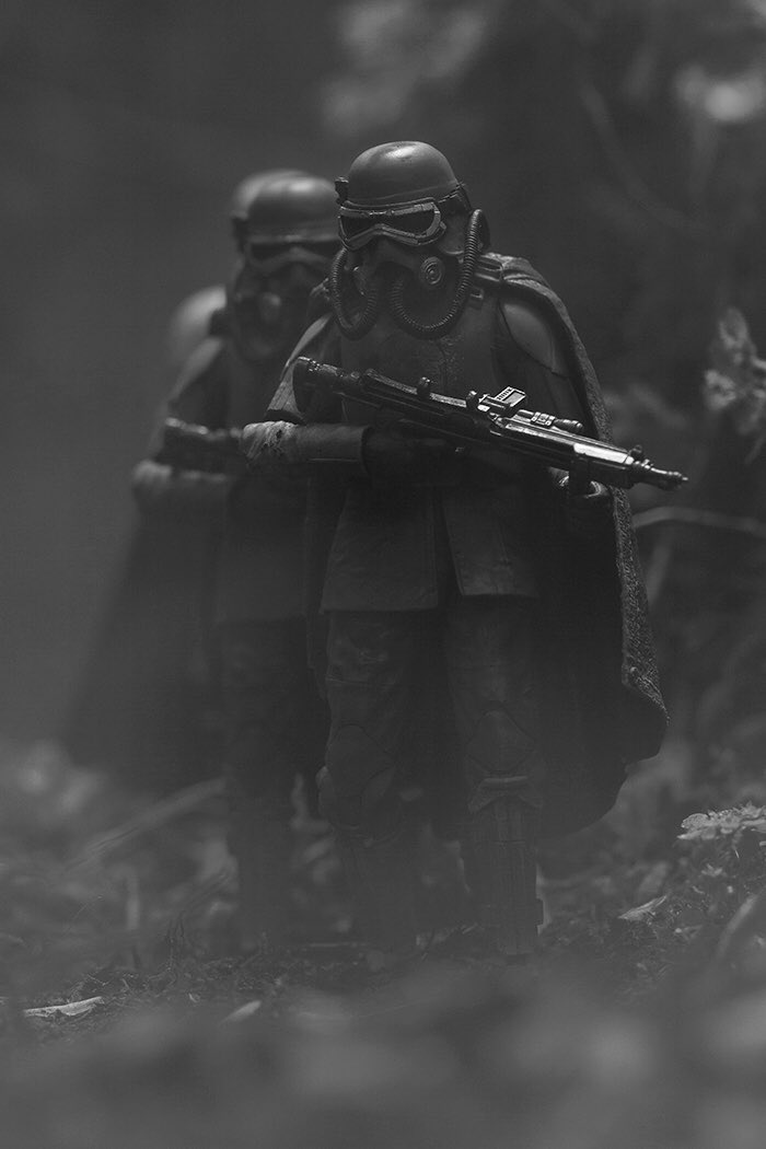 star wars swamp troopers star wars swamp troopers
