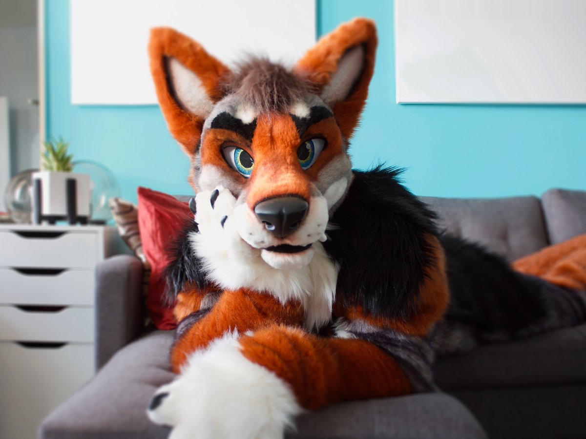 bluecoyote's tweet image. hello (again)