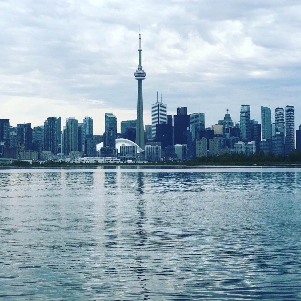 communitycopTPS's tweet photo. Starting out the week with a little ride and view of the Toronto skyline with my @youthinpolicing students. Then back to the office for some hard manual labor......... :)
@TPS11Div #yipi #skyline #toronto https://t.co/k07xVIJwJ5