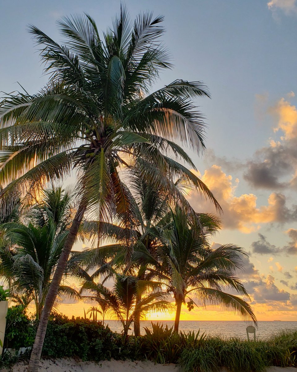 andrighetti35's tweet photo. #morningzenwithjenn #sunrisethismorning #lovefl #saltlife #myserenity #nature #pompanobeach #southflorida #Sunrise #riseandshine #beach @ShareALittleSun @LissetteCBS4 @visitlauderdale @weatherchannel @PompanoWeather https://t.co/LoH6jZoyJv