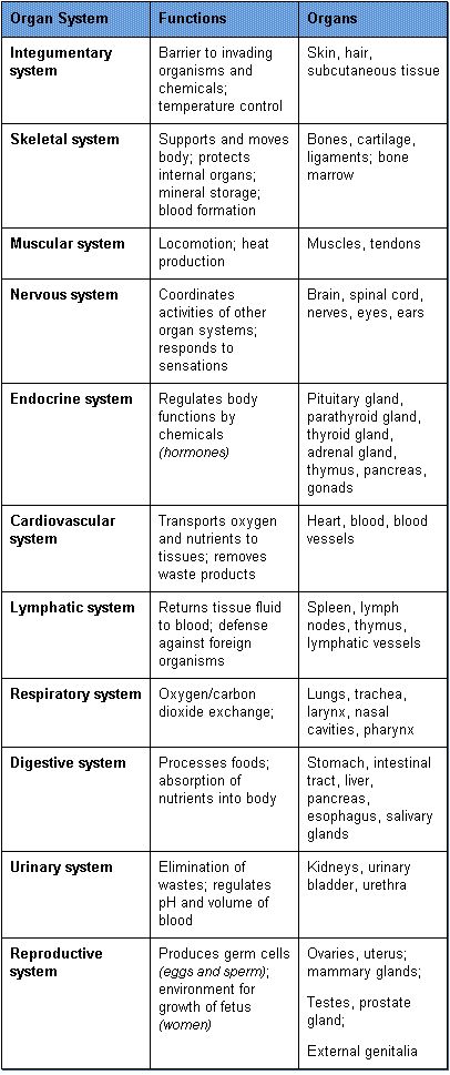 medlinkteam's tweet photo. Useful information for both the hospital and exams!
#TerminologyThursday https://t.co/WQRcLlwYst