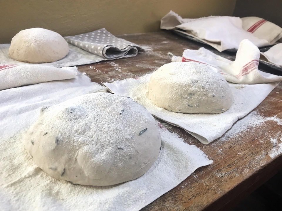 SwellendamS's tweet photo. If you want to learn from the best in Swellendam then book your Bread Baking course now!
6-8 August 201&
3 days R1900.00
https://t.co/uEXn6Hrbbe…/song-of-wheat-rustic-country-…/
#swellendamwinterschool #winterschool #countryside #breadbakingworkshop #bakingbread #sourdough https://t.co/uqc0bjft9R