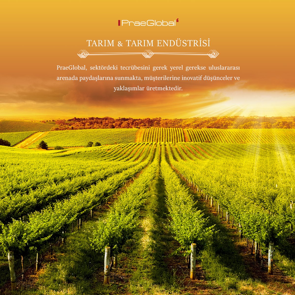PraeGlobal tweet picture