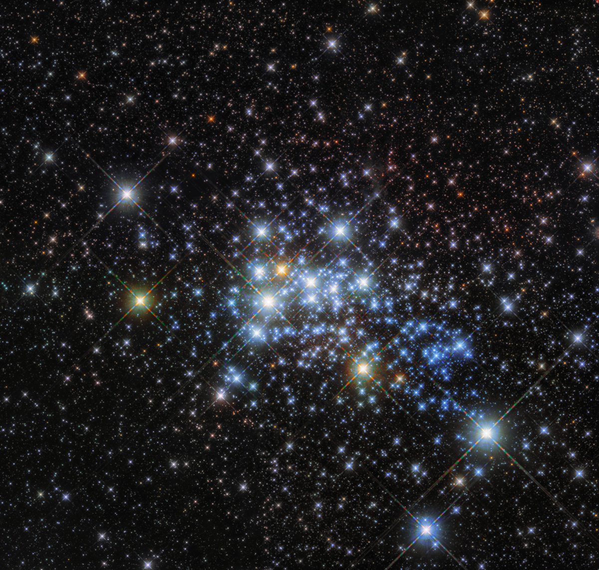 mediainaf's tweet photo. #Westerlund1 nel mirino di @chandraxray: il progetto da un milione di secondi guidato da Mario @mguarce Guarcello dell'#INAF di #Palermo https://t.co/q4Hm2B5ca1 #starbustcluster https://t.co/UUzKgGAv1u