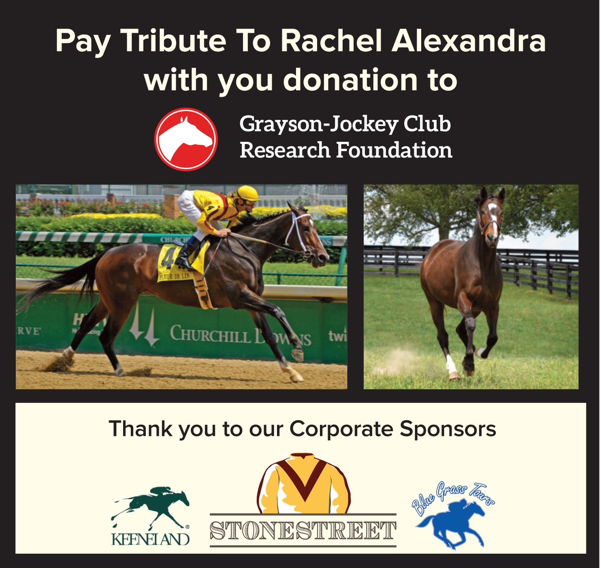 Grayson_JC's tweet photo. A huge Thank YOU to @StonestreetFarm for sharing Rachel this weekend. Thanks to all that bought tickets, bid on items, @bluegrasstours for the ride, @keeneland for parking and door prizes. You can still give in honor Rachel or your favorite horse to support equine research https://t.co/gMDa3r5wix
