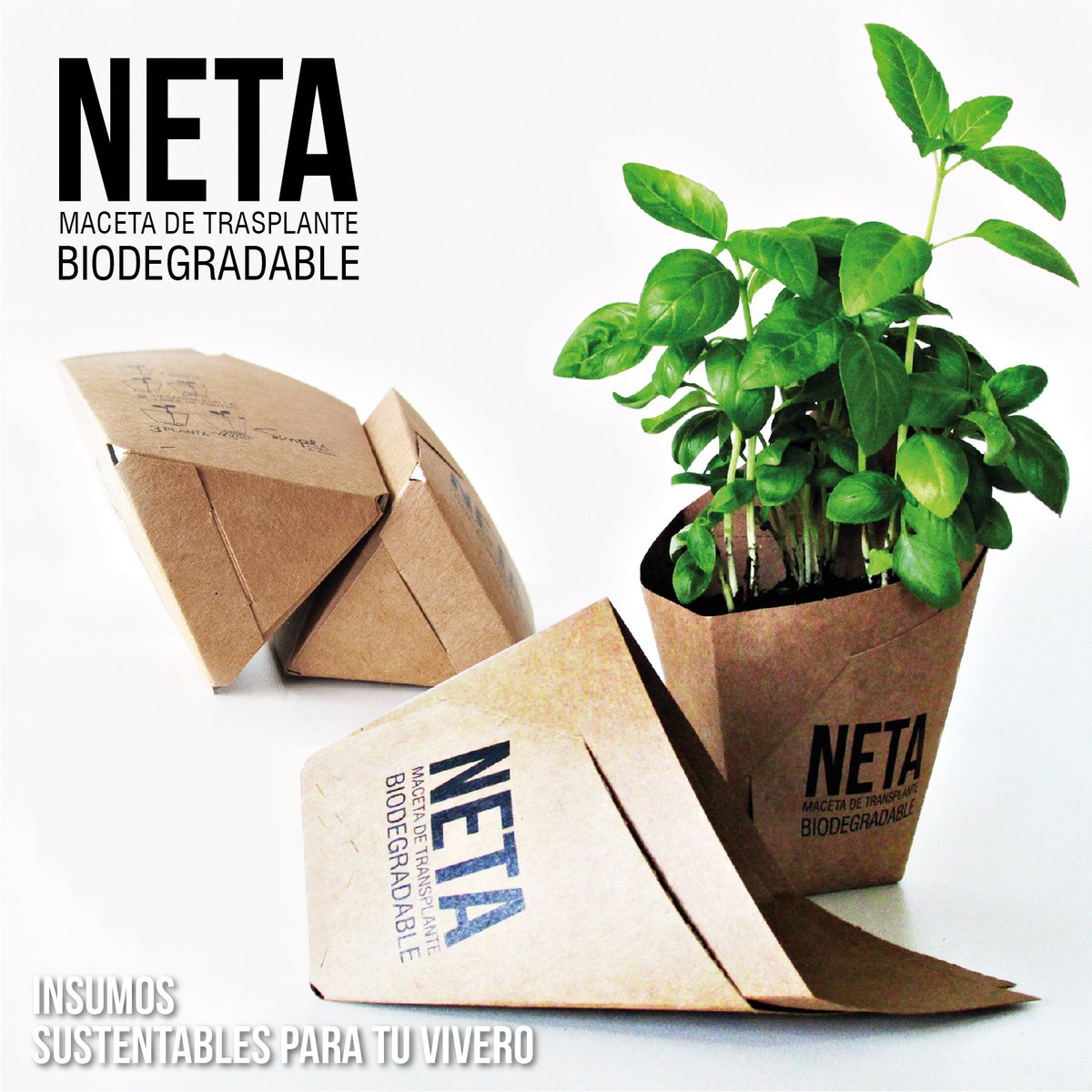 EstudioSimple's tweet image. #NETA maceta de trasplante biodegradable. Es un reemplazo de la bolsita plástica y con su uso reducimos el consumo de plástico, el impacto ambiental y el estrés post-trasplante.
#ElegíNETA #UsáNETA #PedíNETA #SimpleEstudio