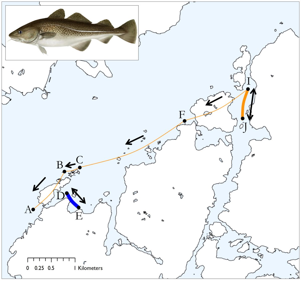 Tom Staveley tweet media