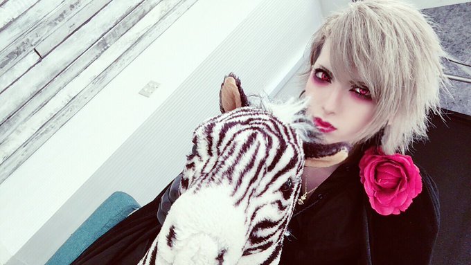 しまうまキルシュタイン🦓！ https://t.co/u6m6yd0c67<a href="/tag/%E4%BB%96%E3%81%AE%E5%86%99%E7%9C%9F%E3%81%8C%E8%A6%8B%E3%81%9F%E3%81%8B%E3%81%A3%E3%81%9F%E3%82%89"class="tags"><span>#他の写真が見たかったら</span></a><a href="/tag/%E4%BB%96%E3%81%AE%E5%8B%95%E7%94%BB%E3%81%8C%E8%A6%8B%E3%81%9F%E3%81%8B%E3%81%A3%E3%81%9F%E3%82%89rt"class="tags"><span>#他の動画が見たかったらrt</span></a>