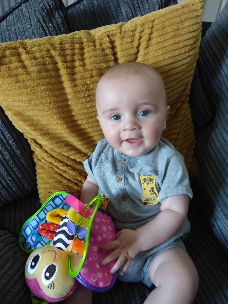 splitty234's tweet image. Big Fred loving his new toy