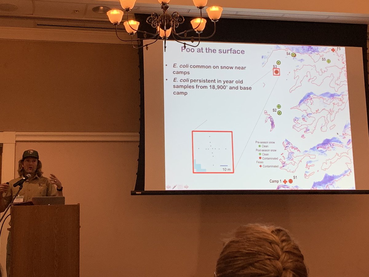 DanielFLeiva's tweet photo. Michael Loso discussing glaciers and feces left behind. Glacier/crevasses hospitable to bacteria; no UV beneath surface, stable temp, no freeze cycles. Ice does not destroy debris/detritus. Next? Genotyping of bacteria to determine if actually from humans #WMScb19 @WildMedSociety https://t.co/v4etYPKcBW