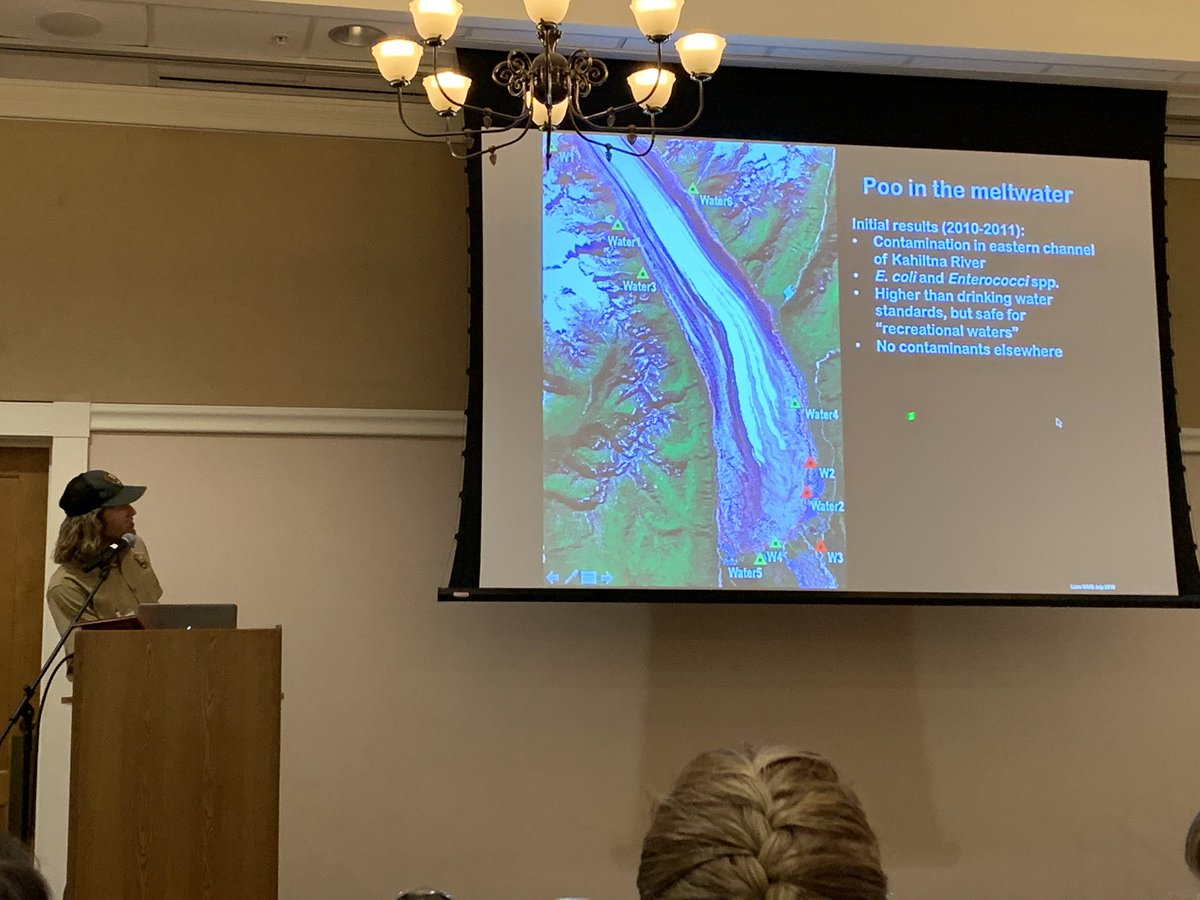 DanielFLeiva's tweet photo. Michael Loso discussing glaciers and feces left behind. Glacier/crevasses hospitable to bacteria; no UV beneath surface, stable temp, no freeze cycles. Ice does not destroy debris/detritus. Next? Genotyping of bacteria to determine if actually from humans #WMScb19 @WildMedSociety https://t.co/v4etYPKcBW