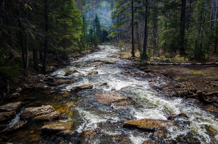 UNEP's tweet photo. We are dependent on clean freshwater for drinking, cooking &amp; for use in agriculture &amp; industry. 

💦 2.5% of all the water is freshwater. 
💦 Of this only 1.2% is readily available as surface freshwater. 
💦 When it gets polluted, we’re in trouble.
https://t.co/vVxQAcuU7t https://t.co/WAu5J8CQBI