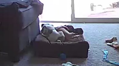 Crazy_Redneck18's tweet photo. Paying $25 to watch my kids at work is so worth it. Melts my heart and makes my day💞💞💞 https://t.co/Tg2cTrHoe7