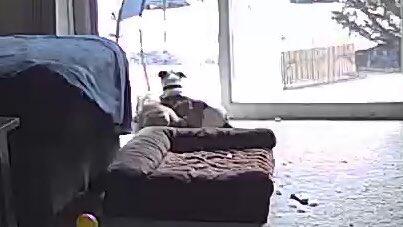 Crazy_Redneck18's tweet photo. Paying $25 to watch my kids at work is so worth it. Melts my heart and makes my day💞💞💞 https://t.co/Tg2cTrHoe7