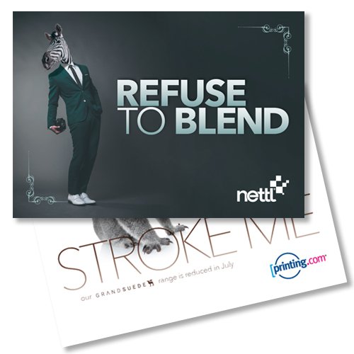 CentrepointPDW's tweet photo. Refuse to Blend, with our Grand Suede July Offer.
Thick 450gsm board, finished in soft-touch laminate and irresistible to touch.  #print #design #refusetoblend https://t.co/9PvFeU49QV