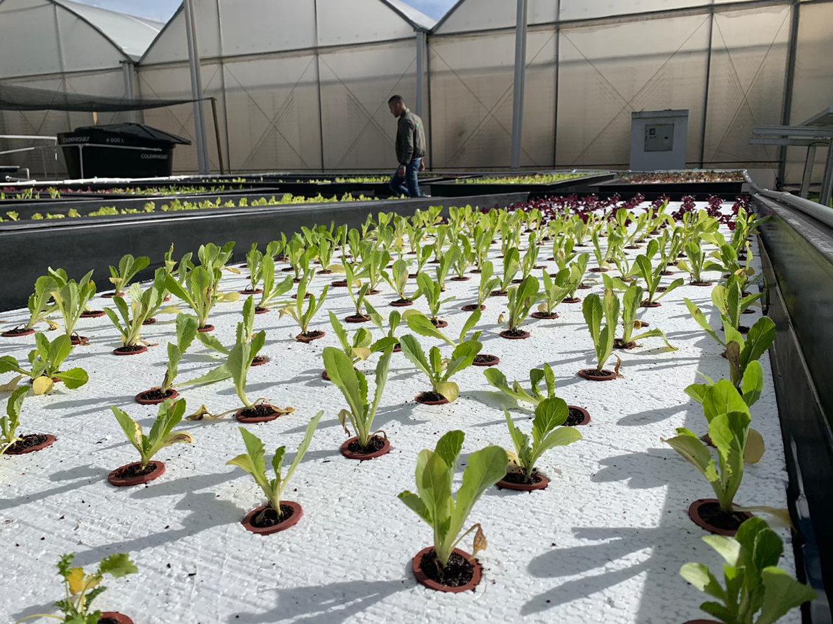 MarcoOsorioA's tweet photo. Para hablar de desarrollo en una comunidad, hay que garantizar cómo brecha de medición, la  alimentación. La maximización de la capacidad instalada del agro es la solución para el aumento de la demanda alimentaria (>70%) de 2030. https://t.co/hApcQXWvaO