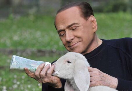 Lacasadicarta3 Hashtag On Twitter