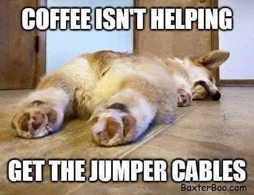 hr_hours's tweet photo. Need motivated this Monday? Why not check out our UNCENSORED HR Podcast? https://t.co/SCv7GVgFbq #humanresources #hrlife #hrhumor #recruiting #recruitingjokes #mondaymemes #mondaymotivation #followus https://t.co/5kbdsk4Y6W