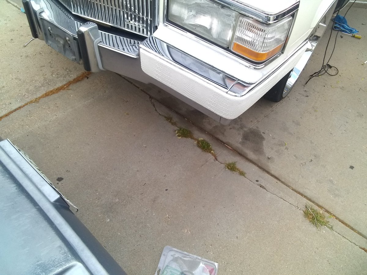 UNSTOPPABLEMAX's tweet photo. Thru some gator on this Cadillac this weekend https://t.co/26jRVc85D3