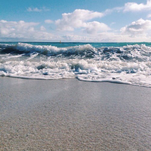 puppycatbin98's tweet photo. Has summer come yet? #ArohaSelcaDay @offclASTRO #ASTRO #아스트로 https://t.co/2wx98g9o9Z