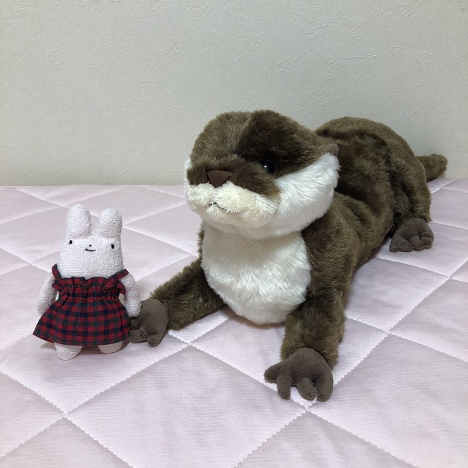 サンレモンさん がハッシュタグ カワウソぬいぐるみ をつけたツイート一覧 1 Whotwi グラフィカルtwitter分析 サンレモンさん がハッシュタグ カワウソぬいぐるみ をつけたツイート一覧 1 Whotwi グラフィカルtwitter分析
