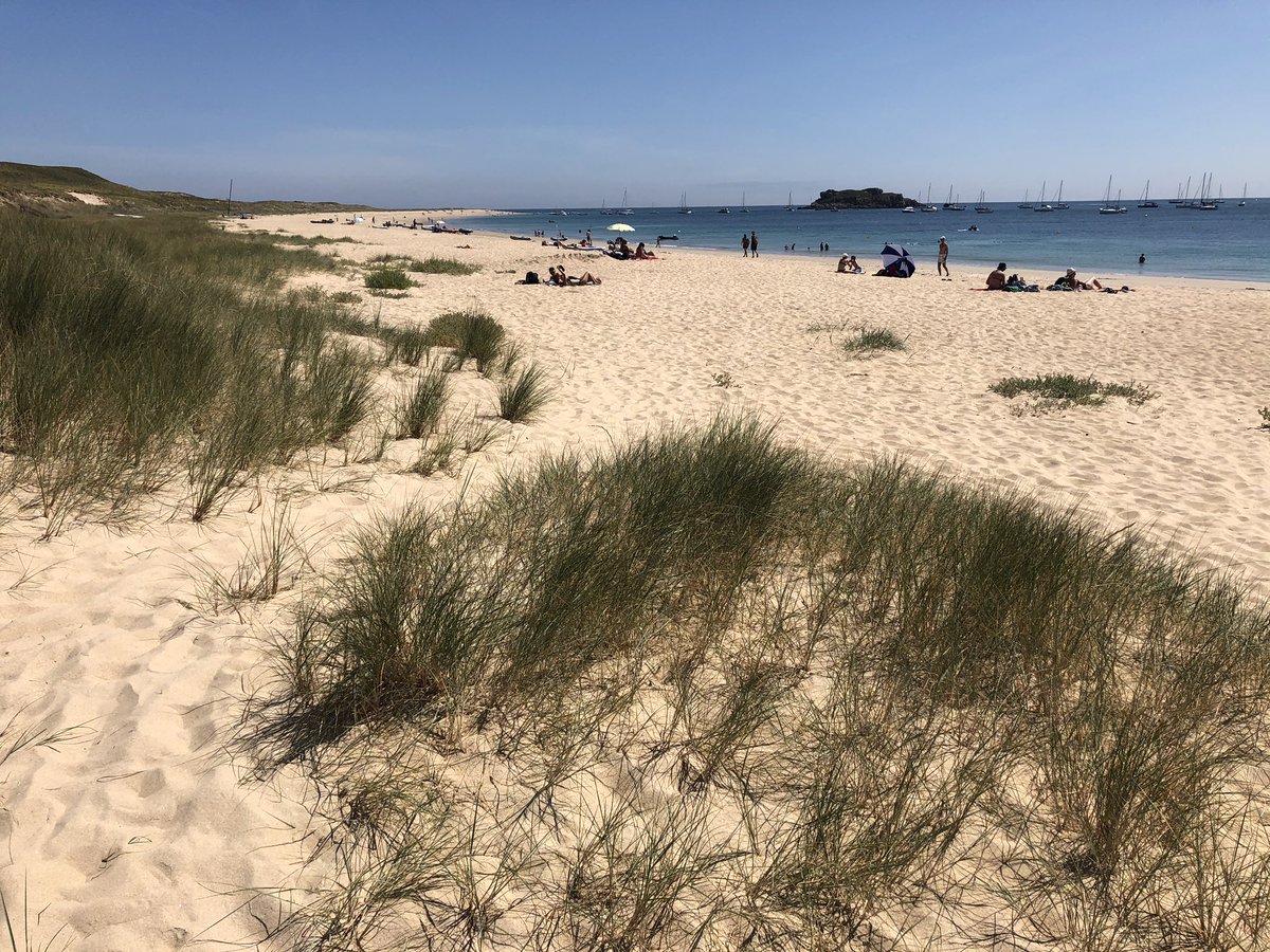 île de Houat. L’ herbier recule selon les gardes écologiques sous les 600 ancres par jour en été. Solution : installer des bouées qui retireront un côté sauvage à cette magnifique plage de treach er goured. 5 euros la nuitée par bateau. Je suis pour et sauver la frayere à poisson