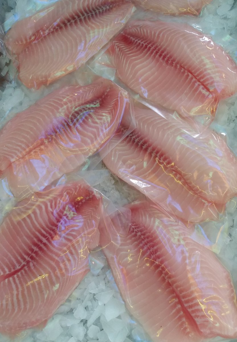 cual_estuplan's tweet image. #PescaFresca todos los días en #Exxus. 
Filete fresco de Tilapia colombiana
$16.000 libra.
¡Visítanos o pide a #domicilio!
Teléfonos 5331114 / 2715580 / 3162503095
#CalidadExxus #Bogotá  Vía @ExxusOysterBar