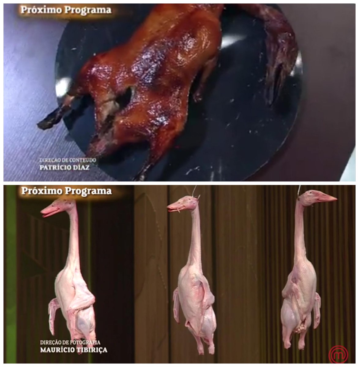 Rodolfomqs's tweet image. Que horror esse pato na prévia do #MasterChefBR É pra virar vegetariano?