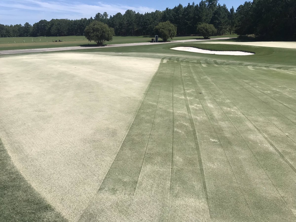 K_A_Newt's tweet photo. Little top dress followed by a light verticut. https://t.co/b2FWGYUtpA