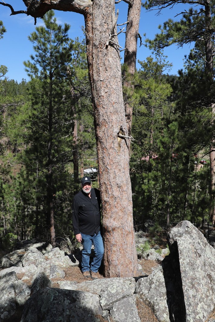 foresters's tweet photo. Meet Rosa the Ponderosa Pine - winner of the 2019 Great American Tree competition. Rosa lives in the Black Hills of SD &amp; is 738 yrs old. Nominated by Rachel Ormseth &amp; Frank Carroll, the grand prize was donated to Dakotas SAF. #forestproud #witnesstrees https://t.co/x7tjbyRh7g https://t.co/zTbh9H21jk