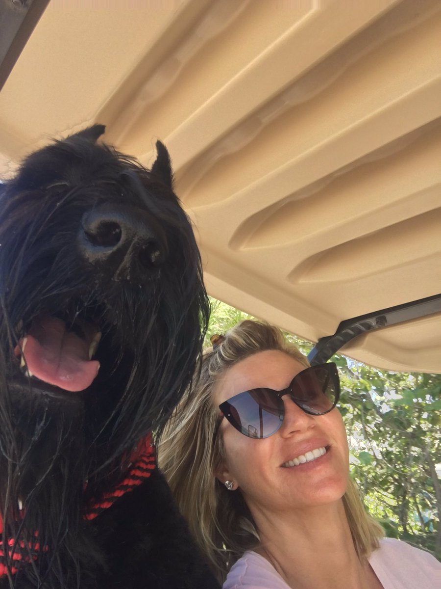 AmyMorrisonHSN's tweet photo. Love this guy to pieces!!!  My gentle giant! https://t.co/eXrPcTjUHG