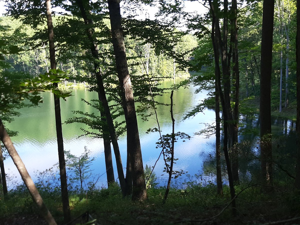 mrwalshwmms's tweet photo. Some pics from this mornings hike with my Noah bear..Ragged Mountain Reservoir was a good one. #gotmystepsin #walshsummer2019 https://t.co/cCbq1HTr6X