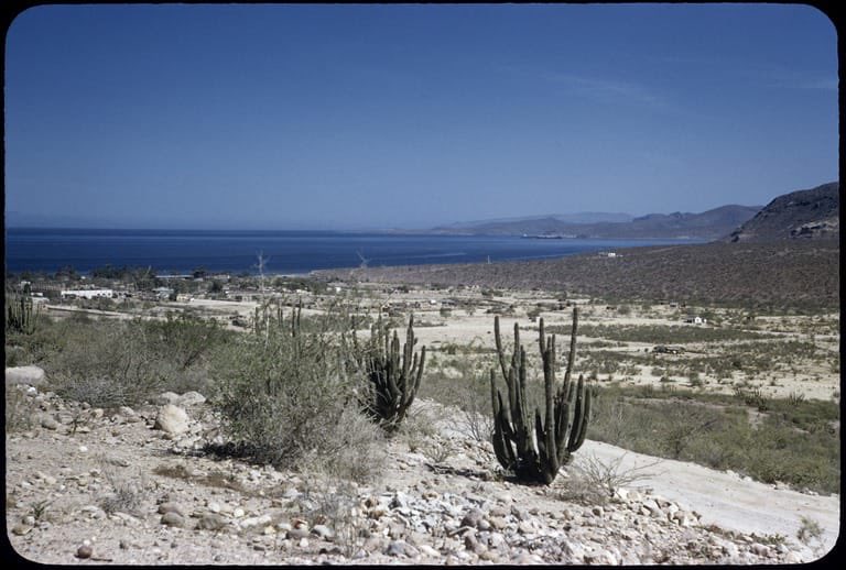 cmendozadavis's tweet photo. Para aquell@s que lo comentaron, les anexo la misma foto de la bahía de  #LaPaz, #BCS, pero tomada el día de hoy para que puedan hacer la comparación con 1967. ¡Que cambio! https://t.co/dsICy1kw0N