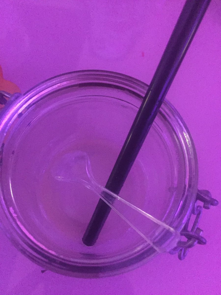 Leeg, altijd spijtig. 
#LimonadaGent  #GentseFeesten