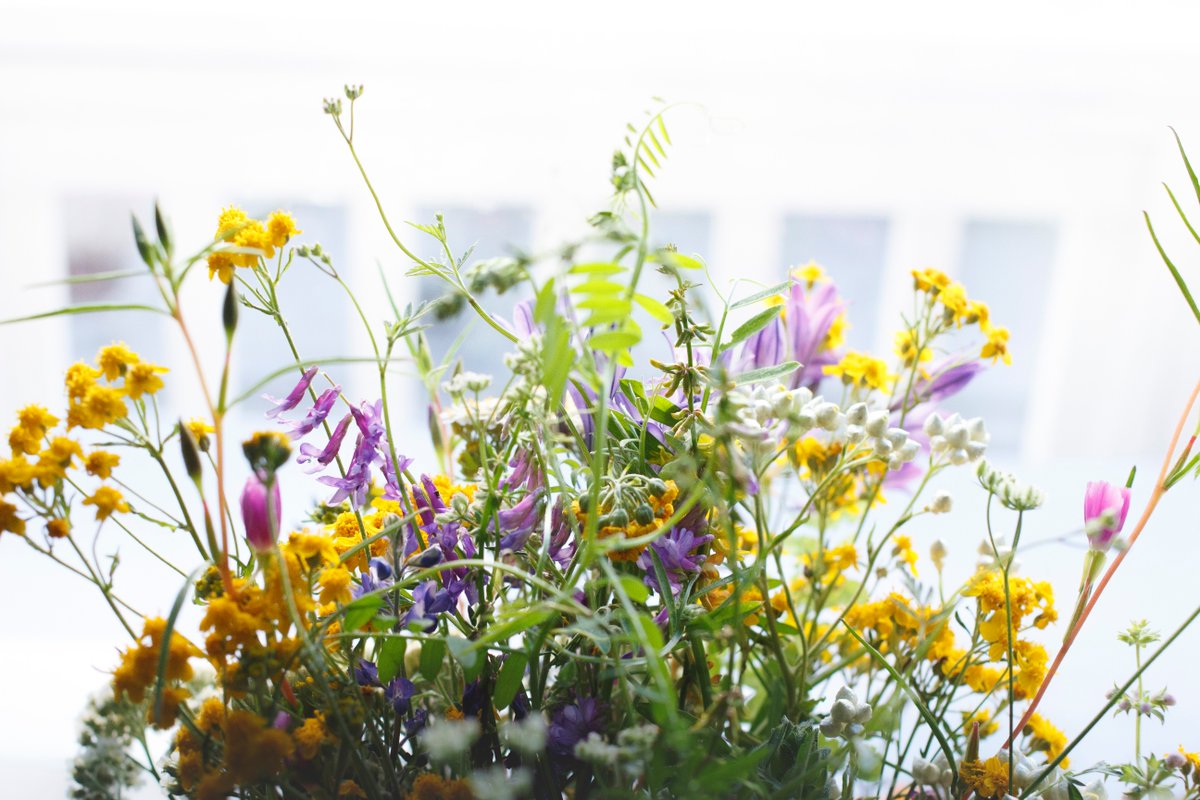KimStarrWise Floral tweet media