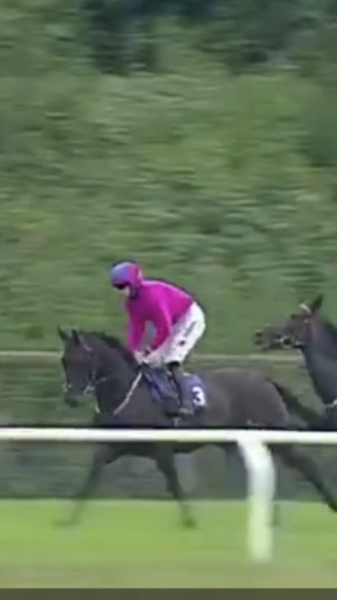 EJBishopRacing's tweet photo. Staar @jpbargary94 3rd @stratfordraces in his first run under rules #willimprovefortherun #plentytoworkon #encouraging https://t.co/KPBENnyl1a