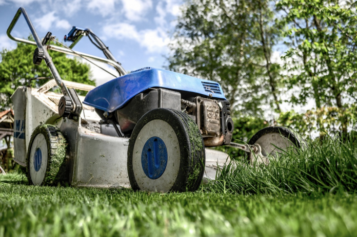 Conservation_I's tweet photo. GreenWorks Lawn Mower Review: A Cordless Option with Plenty of Power -https://t.co/RLc6XnwKVe

#waterpreservation #oceanpreservation #deforestation #deforestationeffects #pollution #pollutioneffects #effectsofpollution https://t.co/wtGSkvl0P4