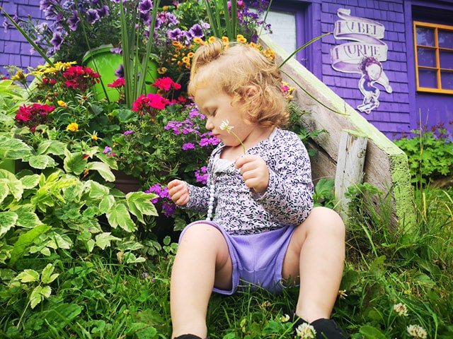 SherryCarmont's tweet photo. My granddaughter and I made our annual trek to see @sherfitch at her very special #Dreamery on the weekend. #MableMurple #Purple #booklovers #youngreader #flowerpicker #RiverJohn https://t.co/dUoMFJdzN6