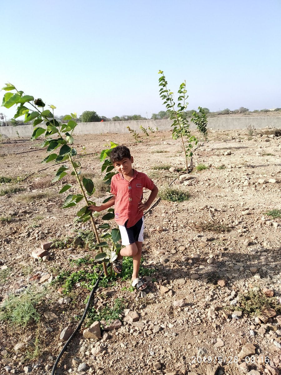 B_N_BHATIYA's tweet image. #SelfieWithATree