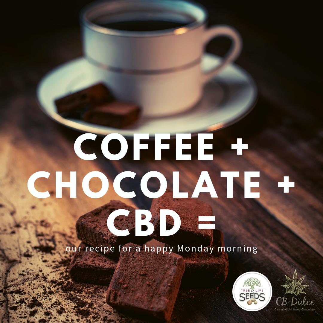 TreeOfLifeSeeds's tweet photo. 🍫☕️🙌 #Monday #LetsDoThis #MellowMotivation
.
.
.
https://t.co/UWiCePn7iR #CBDChocolate #CBDulce #EatCBDulce #CBDEdibles #CBDOil #MondayMotivation https://t.co/aRihvMzwVx
