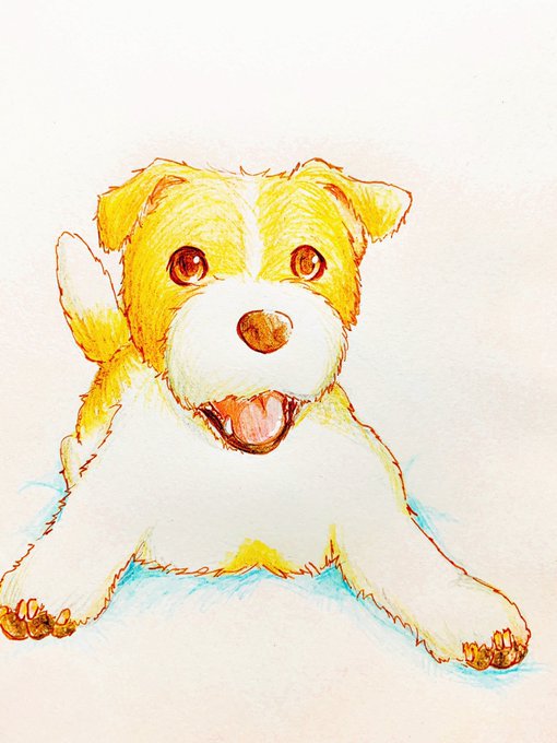 ジャックラッセルテリアのtwitterイラスト検索結果 古い順 ジャックラッセルテリアのtwitterイラスト検索結果 古い順