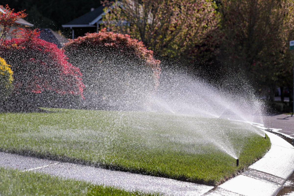 Hey #Durham, remember that spray irrigation is a big no-no on Mondays. Can't remember when you can water your lawn? Check the City's mandatory odd-even watering schedule here: durhamnc.gov/1114/Odd-Even-…
