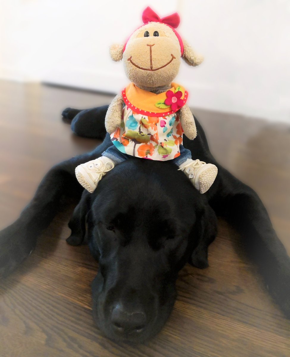 lumi_princess's tweet image. as I told you, my lil puppy is a horse now ....