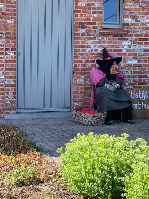 Traditionele heksenstoet op 28 juli #Beselare is er helemaal klaar voor, de heksen zijn dat uiteraard altijd 🧙‍♀️