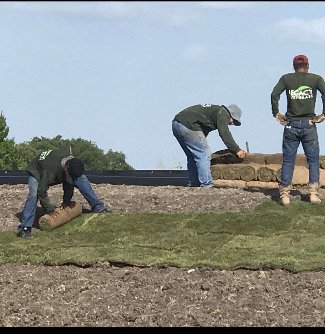 LegacyTurfgrass's tweet image. Legacy Turfgrass crew working hard yesterday in 100 degree heat. Getting the job done! #turfgrassfarm #familyfarm