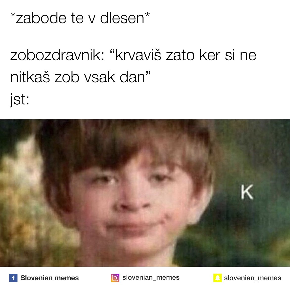 Slovenian Memes (@slovenian_memes) on Twitter photo 